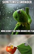 Image result for Kermit Sometimes I Wonder