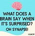 Image result for Funny Brain Health