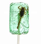 Image result for Chocolate Covered Crickets and Scorpion Lollipop