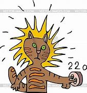 Image result for Cat in an Electrric Socket