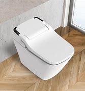 Image result for Toilet with Built in Bidet