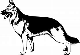 Image result for German Shepherd Cartoon Clip Art
