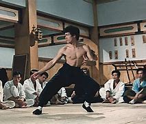 Image result for French Martial Arts Films