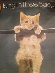 Image result for Hang in There Cat Poster 70s