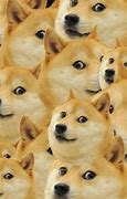 Image result for Doge Live Wallpaper