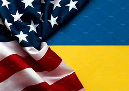 Image result for Ukraine USA Flag