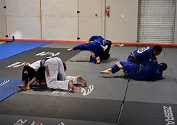 Image result for Gracie Jiu-Jitsu Academy