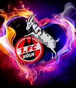 Image result for 1 FC Köln