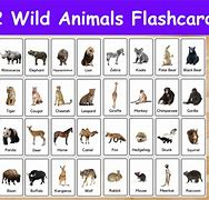 Image result for Animal Cards Printable