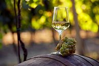 Image result for Peconic Bay Chardonnay Lot #2