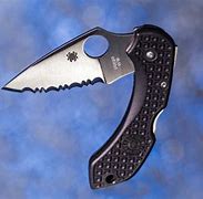 Image result for Small Pocket Knife with Locking Blade
