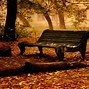 Image result for FALL SENERY