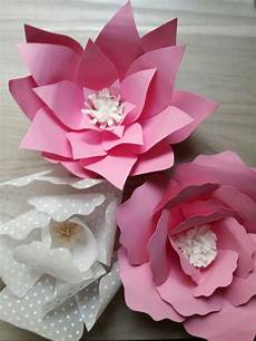 fiori 18 anni fiori per compleanno 18 anni vb12 pineglen fiori 18 anni fiori per compleanno 18 anni vb12 pineglen