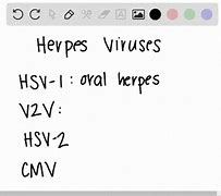 Image result for Signs You Have Genital Warts