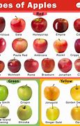Image result for Apple Identification Pictures