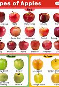 Image result for Apple Variety List