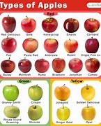 Image result for Red and Yellow Apple Varieties