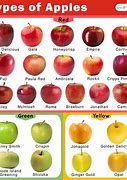 Image result for 20 5 Apples