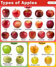 Image result for 10 Apple in Chart