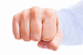 Image result for Fist Punch