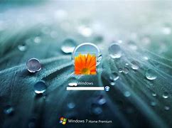 Image result for Lock Screen Wallpaper for Windows 11 Sunflower