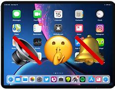 Image result for iPad Mute Button