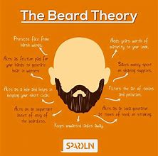 Image result for Stages of Beard Meme