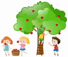 Image result for Children Picking Apples