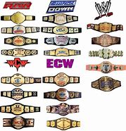 Image result for All WWE Championship Belts List