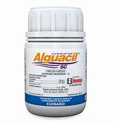 Image result for alguacjla