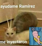 Image result for Ramirez Gato Meme