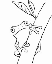 Image result for Frog Line Drawing