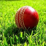 Image result for Cricket Outfield Cutting