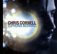 Image result for Chris Cornell Sunshower