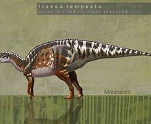 Image result for Franco Tempesta Paleo Art
