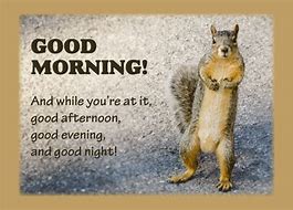 Image result for Image of Good Morning Funny Squirrel