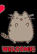 Image result for Welcome Cat Meme