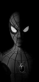 Image result for SpiderMan Background