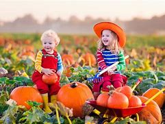 Image result for Family Pumpkin Patch