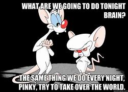 Image result for Pinky and the Brain It Meme