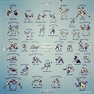 Image result for Mixed Martial Arts Types