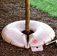 Image result for Slow Tree Watering System