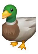 Image result for Duck Face Emoji