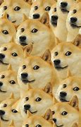 Image result for Buff Doge Wallpaper