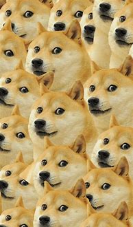 Image result for Dog Stare Meme Phone