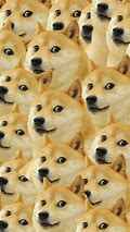 Image result for Doge Meme Template