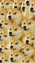 Image result for Best Doge Memes