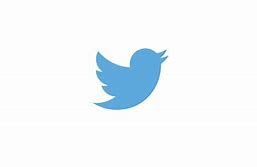 Image result for Small Twitter Logo Icon