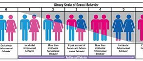 Image result for honosexualidad