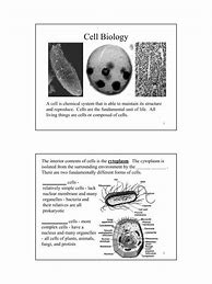 Image result for Cellular Biology